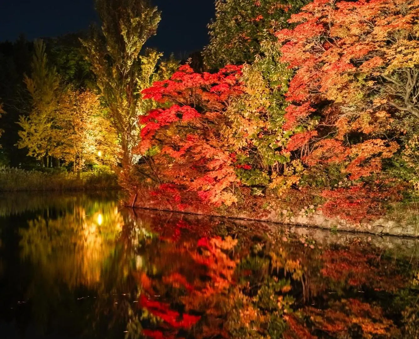 Hotel Mystays Sapporo Nakajima Park