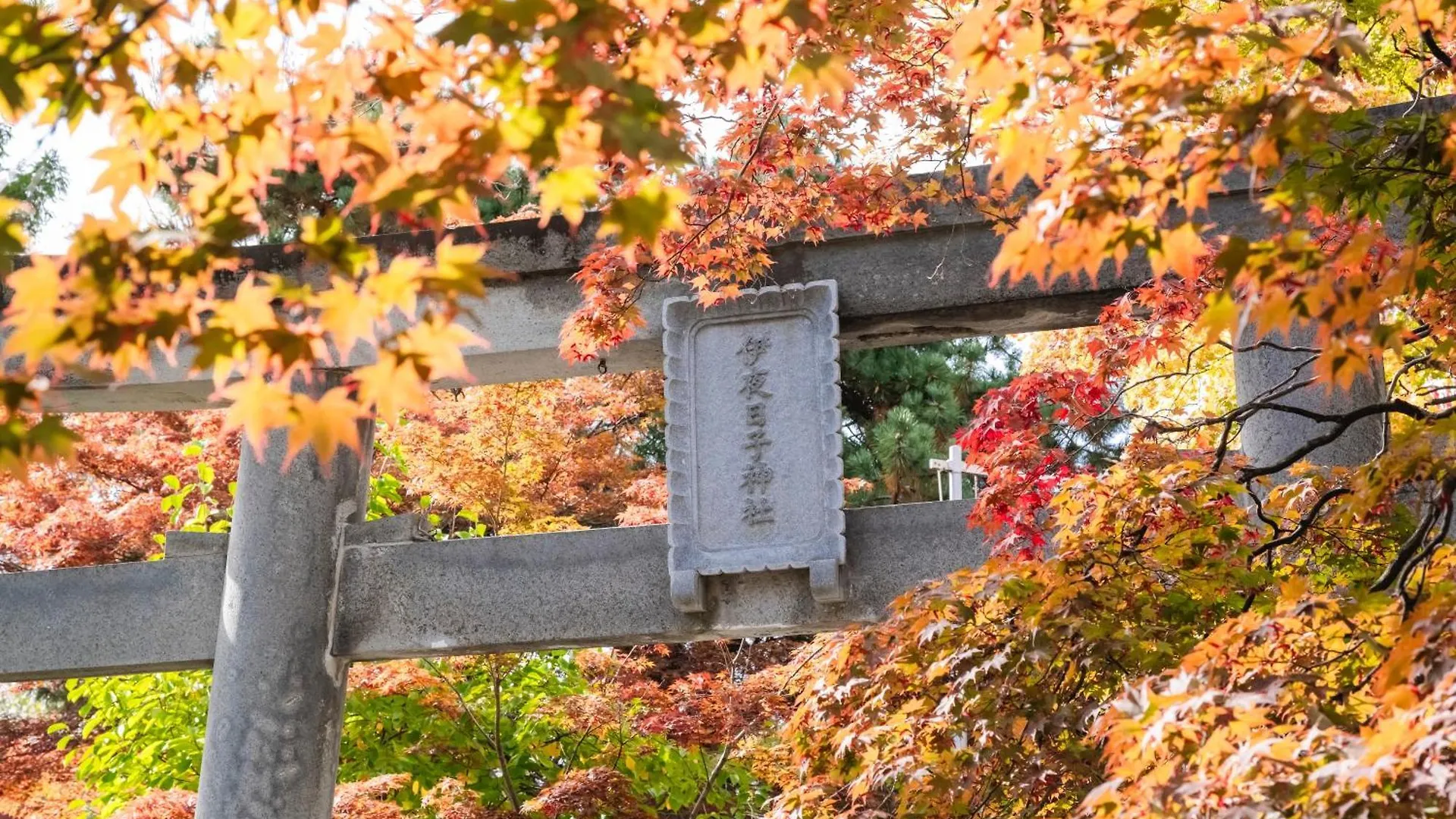 Hotel Mystays Sapporo Nakajima Park