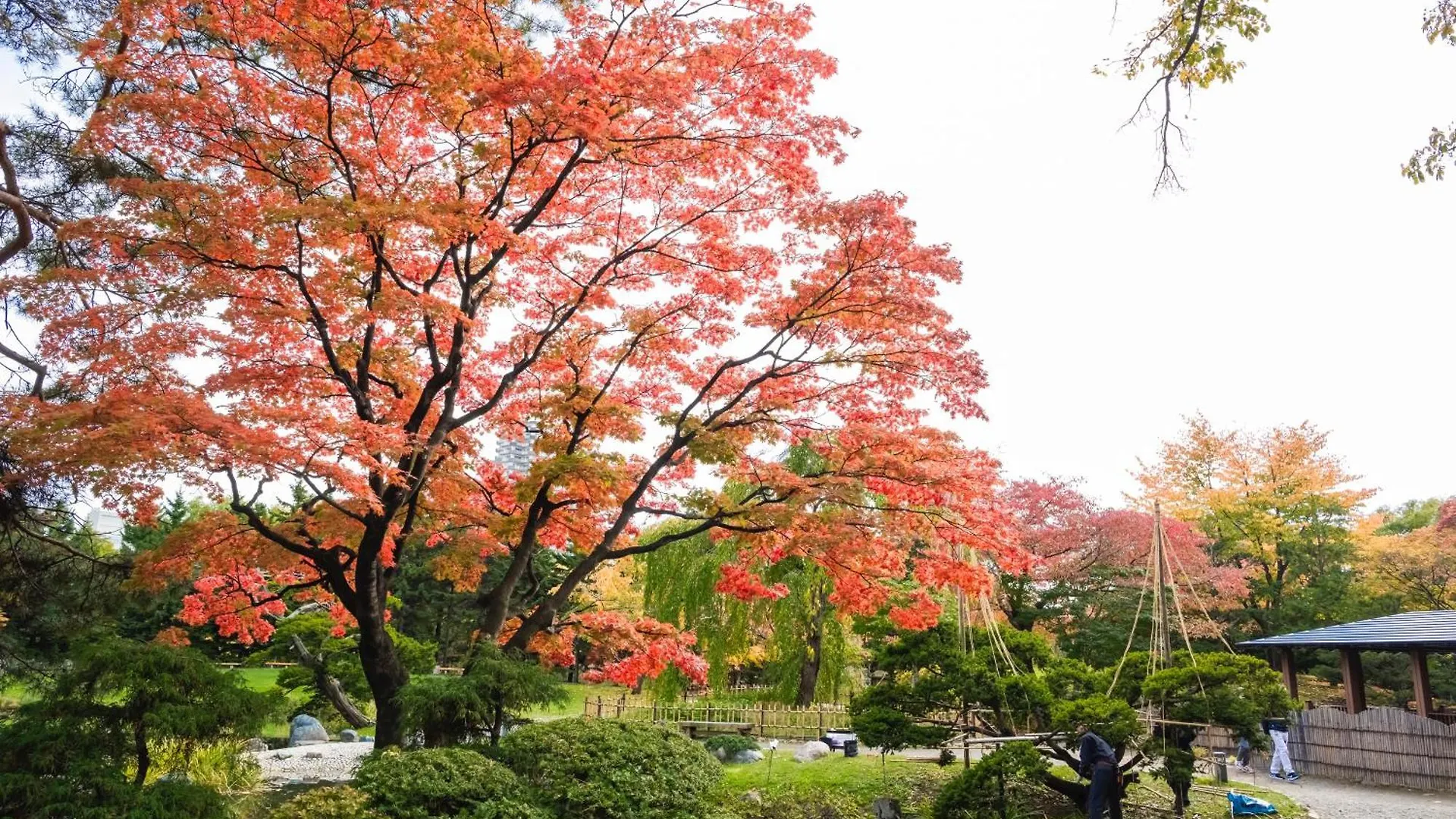 Hotel Mystays Sapporo Nakajima Park
